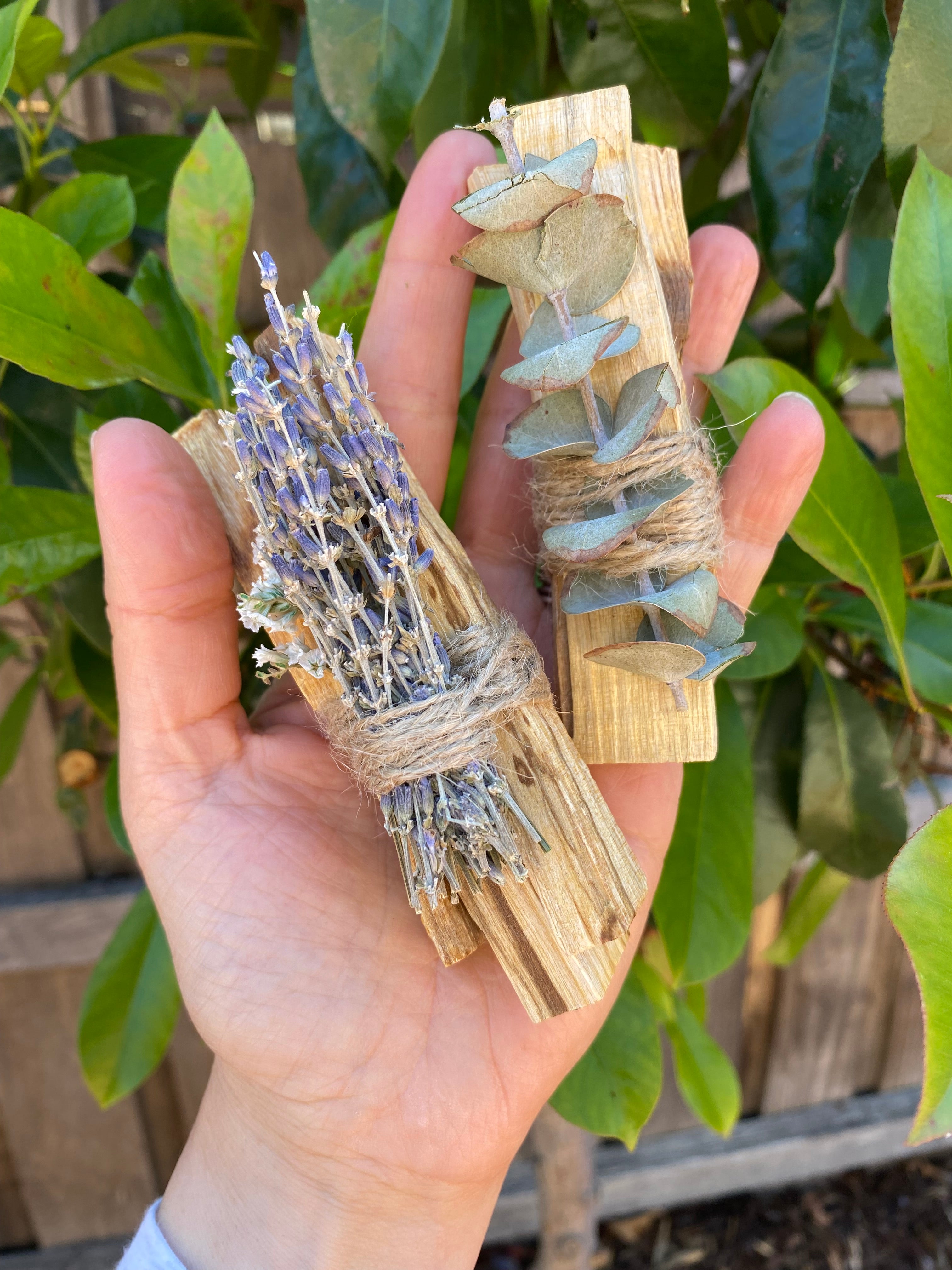 Palo Santo Stick with Lavender